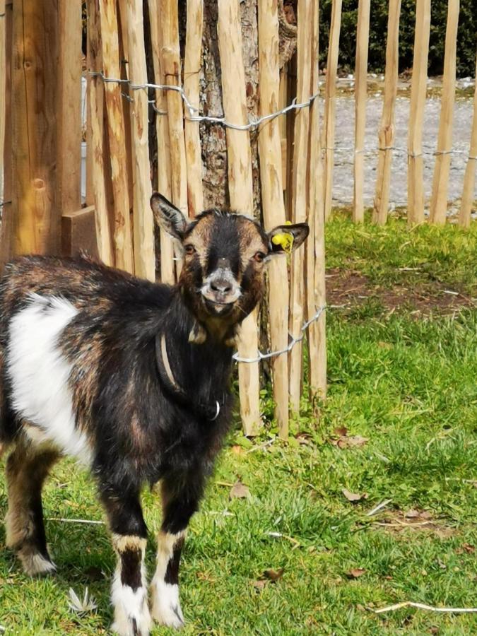 Heeser Hof - Urlaub Im Gruenen Weeze Exterior foto